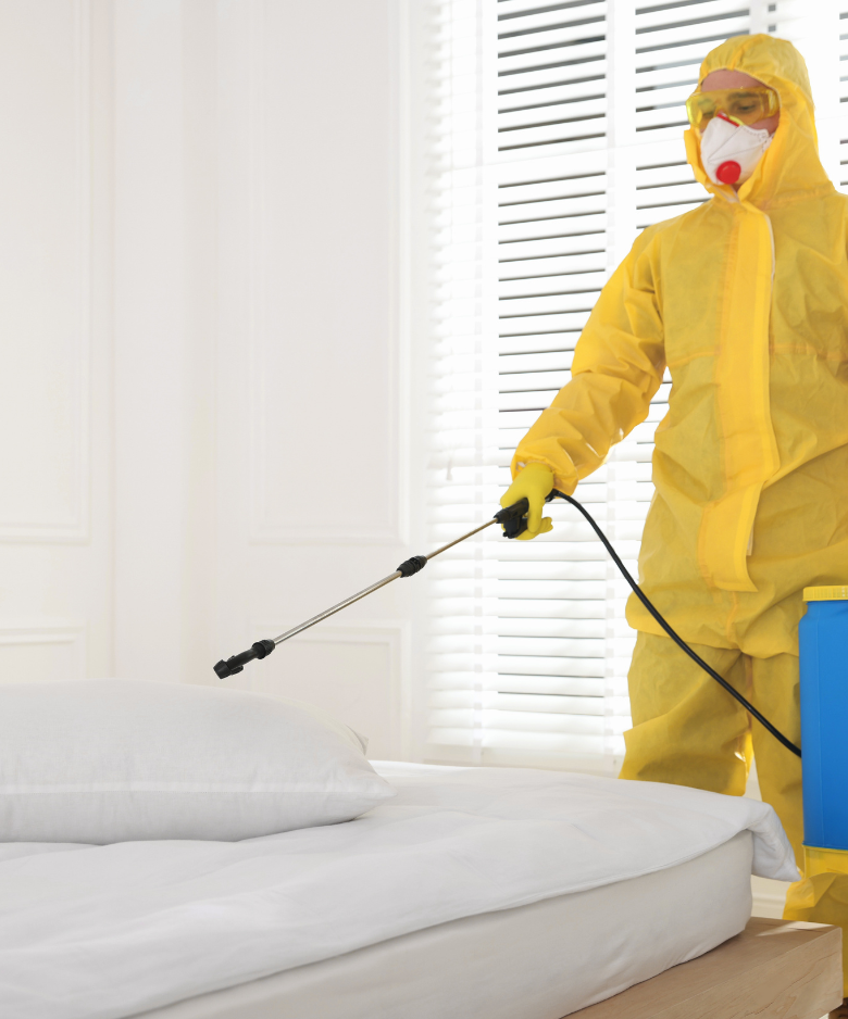 Professional Pest Control Team in Gawler East